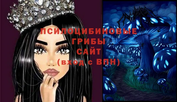 спайс Протвино