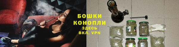тгк Пролетарск