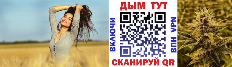 купить   Кизляр  Марихуана SATIVA & INDICA 